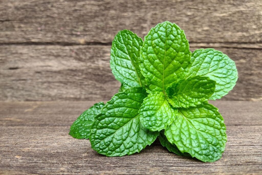 Utilizările Wintergreen