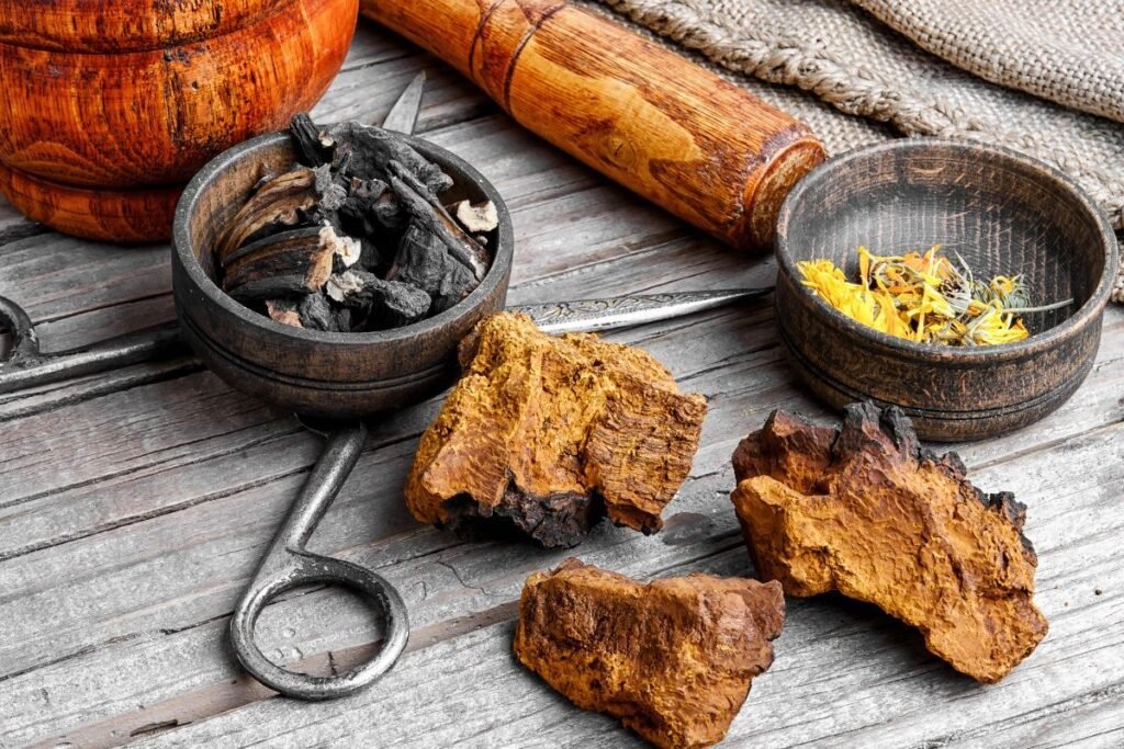 Bucăți de ciupercă chaga pe masă, alături de boluri din metal cu alte mirodenii