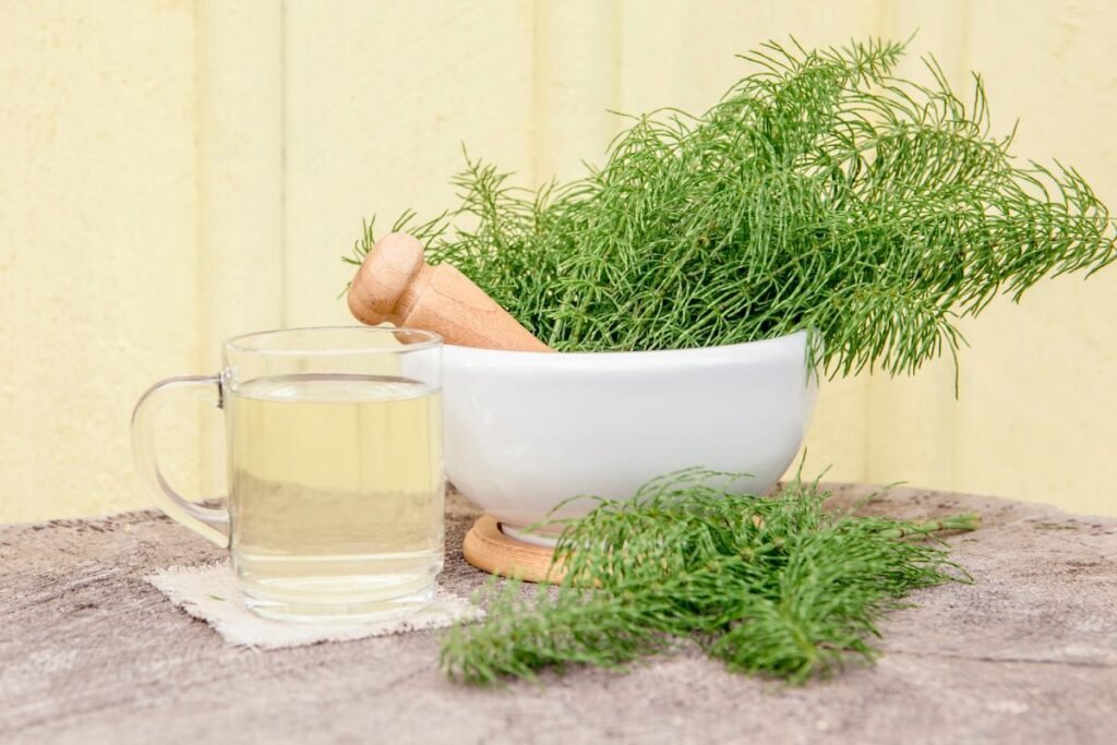 Cană de ceai din coada calului alături de un bol cu coada-calului verde